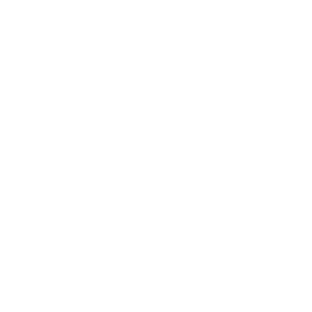 Ajooni & Co